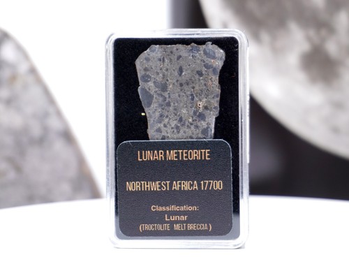 Nwa 17700 lunar meteorite - 17700,