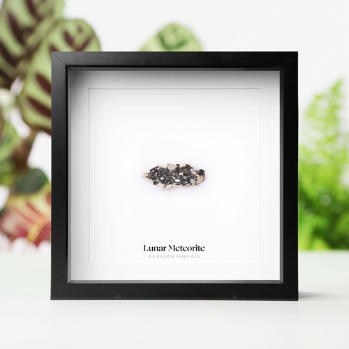 Framed real lunar meteorite - lunar,
