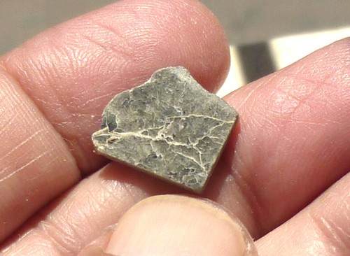 Lunar meteorite nea 083 - nea,