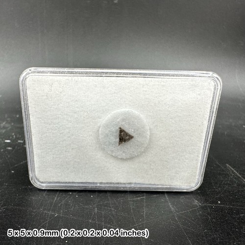 Rare lunar tisserlitine 001 - lunar,