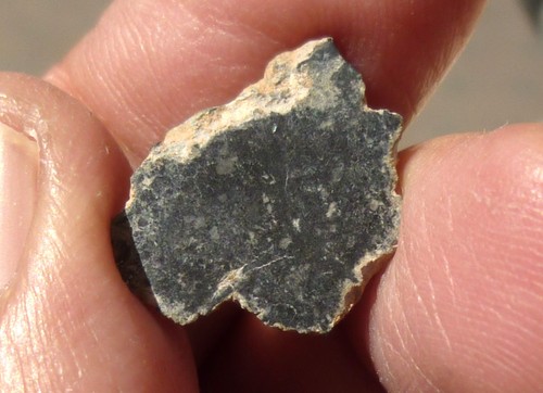 Lunar meteorite nwa 11228 - lunar,