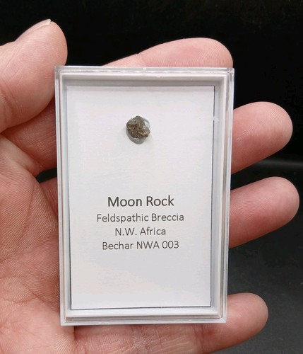 Lunar meteorite nwa 003 - lunar,