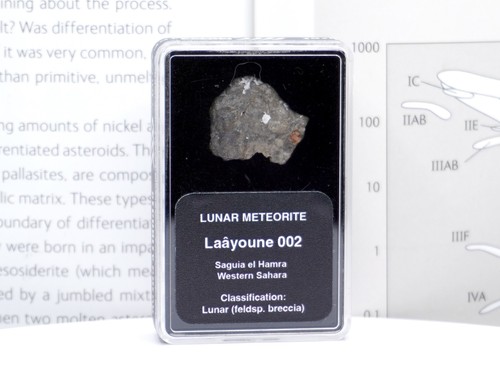 Laâyoune 002 lunar meteorite - lunar,