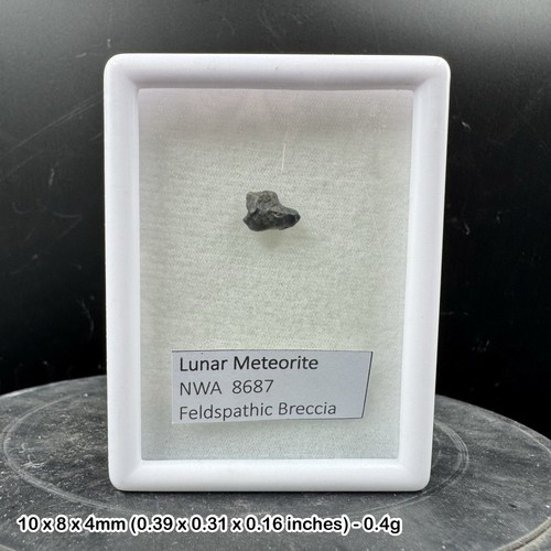 Lunar meteorite nwa 8687 - meteorite,