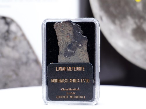 Nwa 17700 lunar meteorite - 17700,