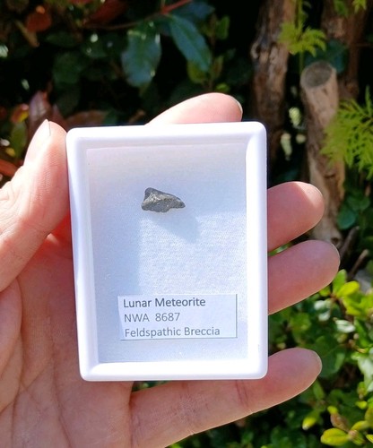 Lunar meteorite nwa - lunar, 8687